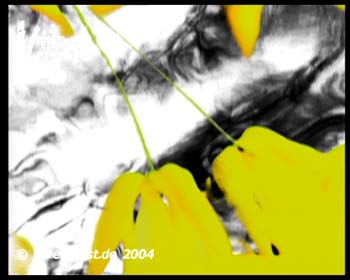 obc+pansonic+vgeist_07