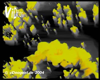 obc+pansonic+vgeist_14